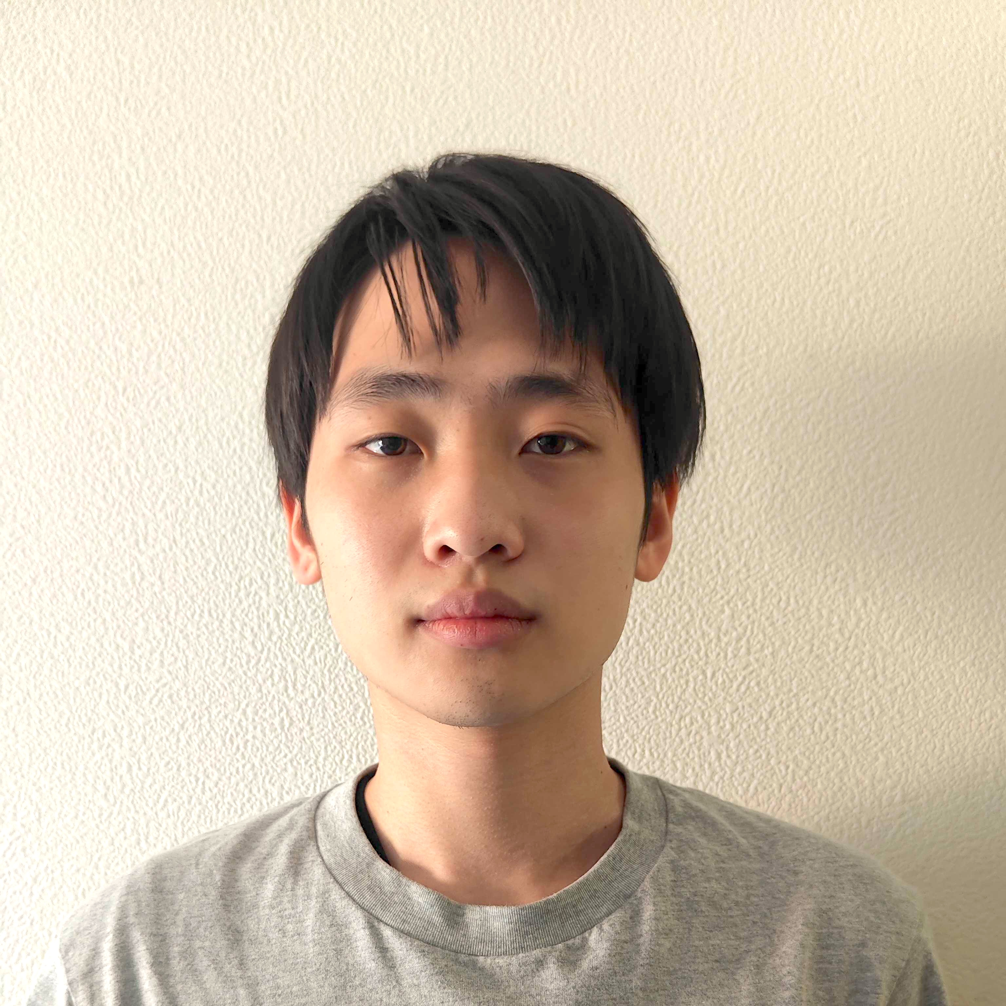Hirotatsu Hoshikawa